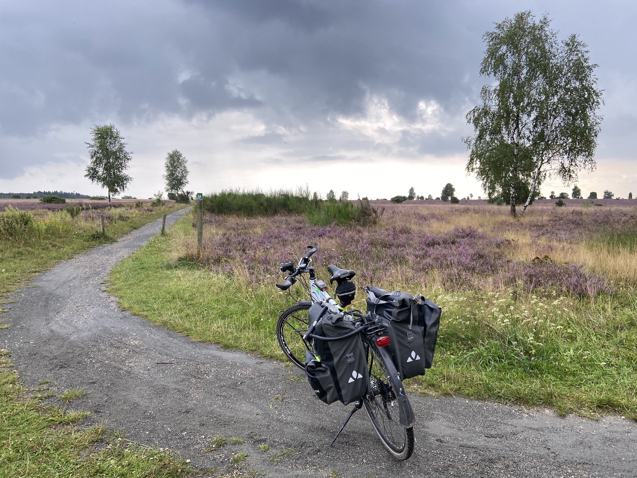 Hebe Bild 11 entlang der Bikemap-Route "Hamburg - Südheide - Arendsee" hervor