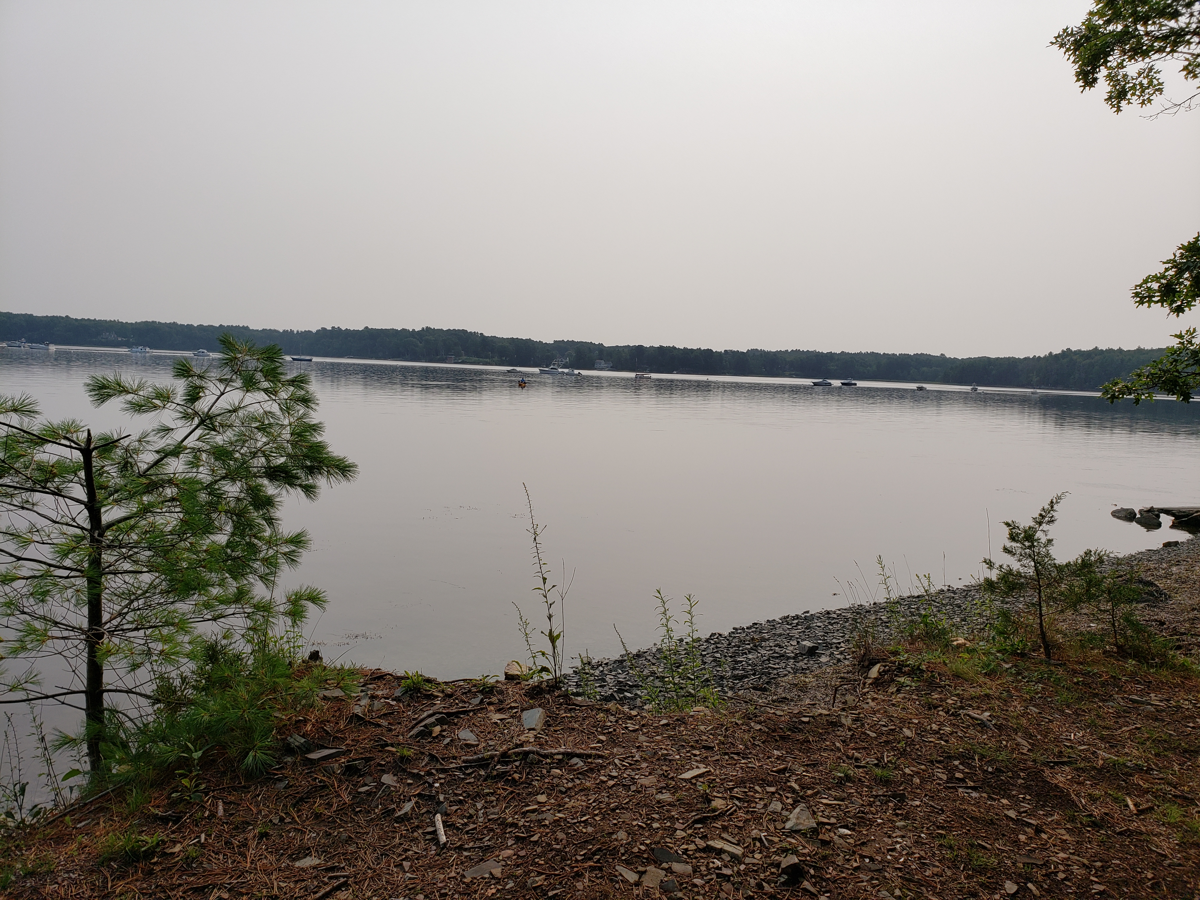 Elm Drive 1, Newmarket to Adams Point Road 64, Durham