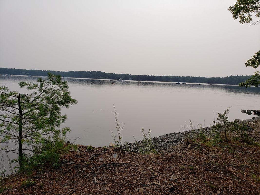 Elm Drive 1, Newmarket to Adams Point Road 64, Durham