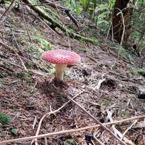 Dechantstraße 10, Sankt Johann nach Dechantstraße 10, Sankt Johann
