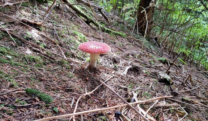 Foto 1 del percorso Bikemap "Dechantstraße 10, Sankt Johann nach Dechantstraße 10, Sankt Johann"
