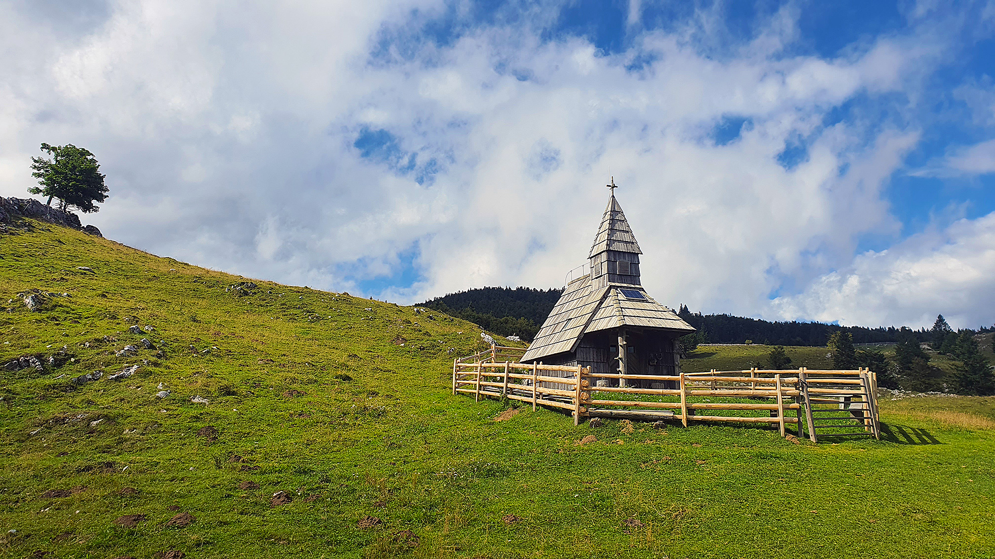 Menina planina MTB