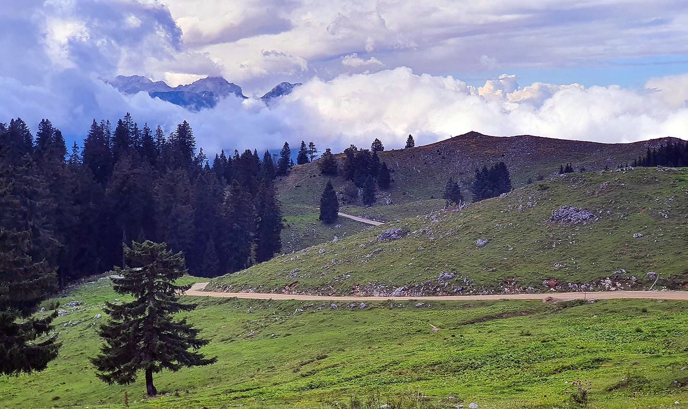 Menina planina MTB
