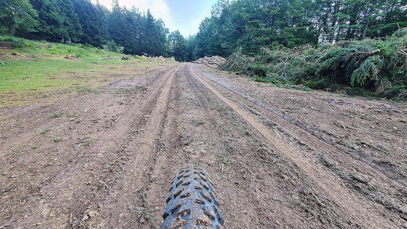 Menina planina MTB