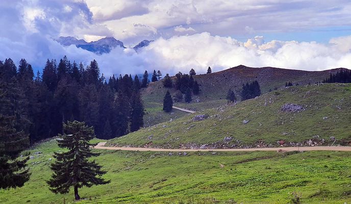Photo 1 of the Bikemap route "Menina planina MTB"
