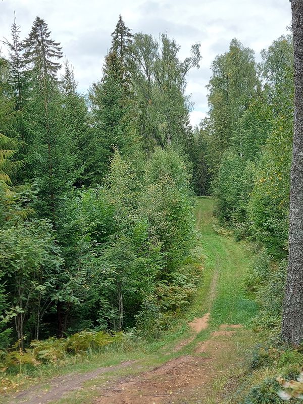 Aegviidu - Valgehobusemäe