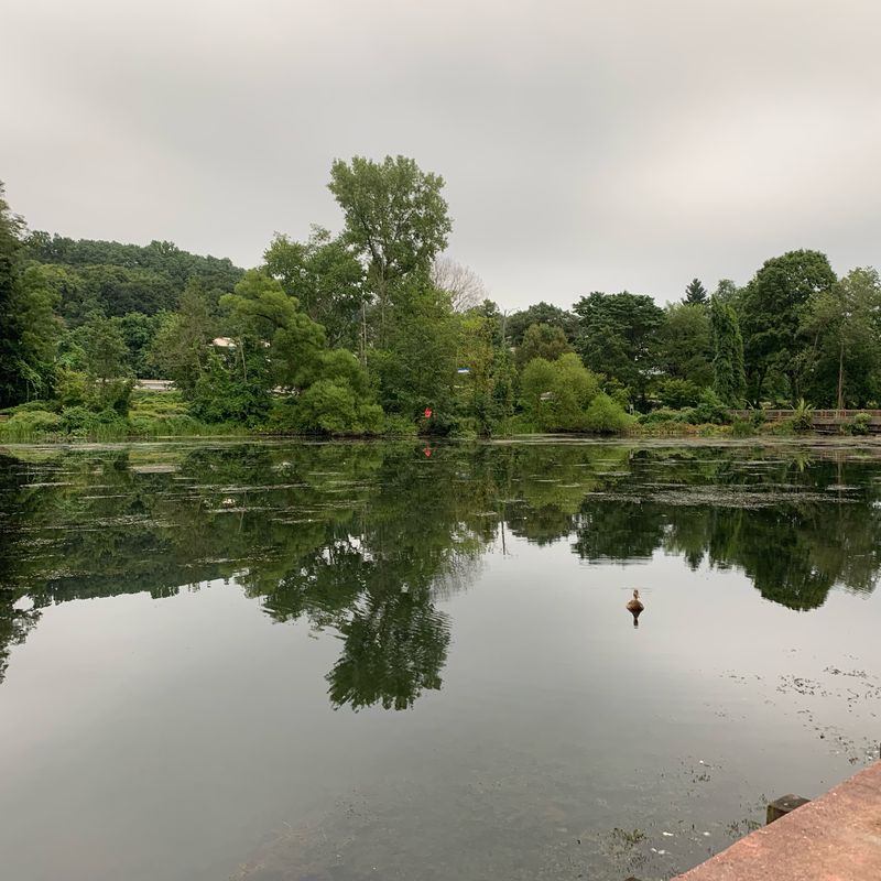 S County Trailway, Tarrytown to S County Trailway, Tarrytown