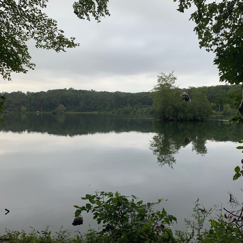 S County Trailway, Tarrytown to S County Trailway, Tarrytown