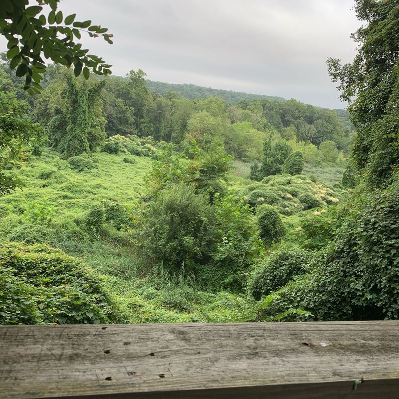S County Trailway, Tarrytown to S County Trailway, Tarrytown