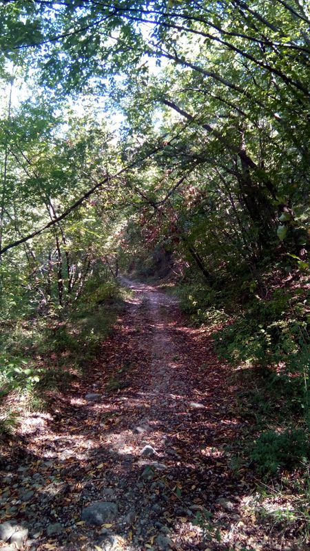 Trekking San Luca - Gessaroli - Bregoli - San Luca