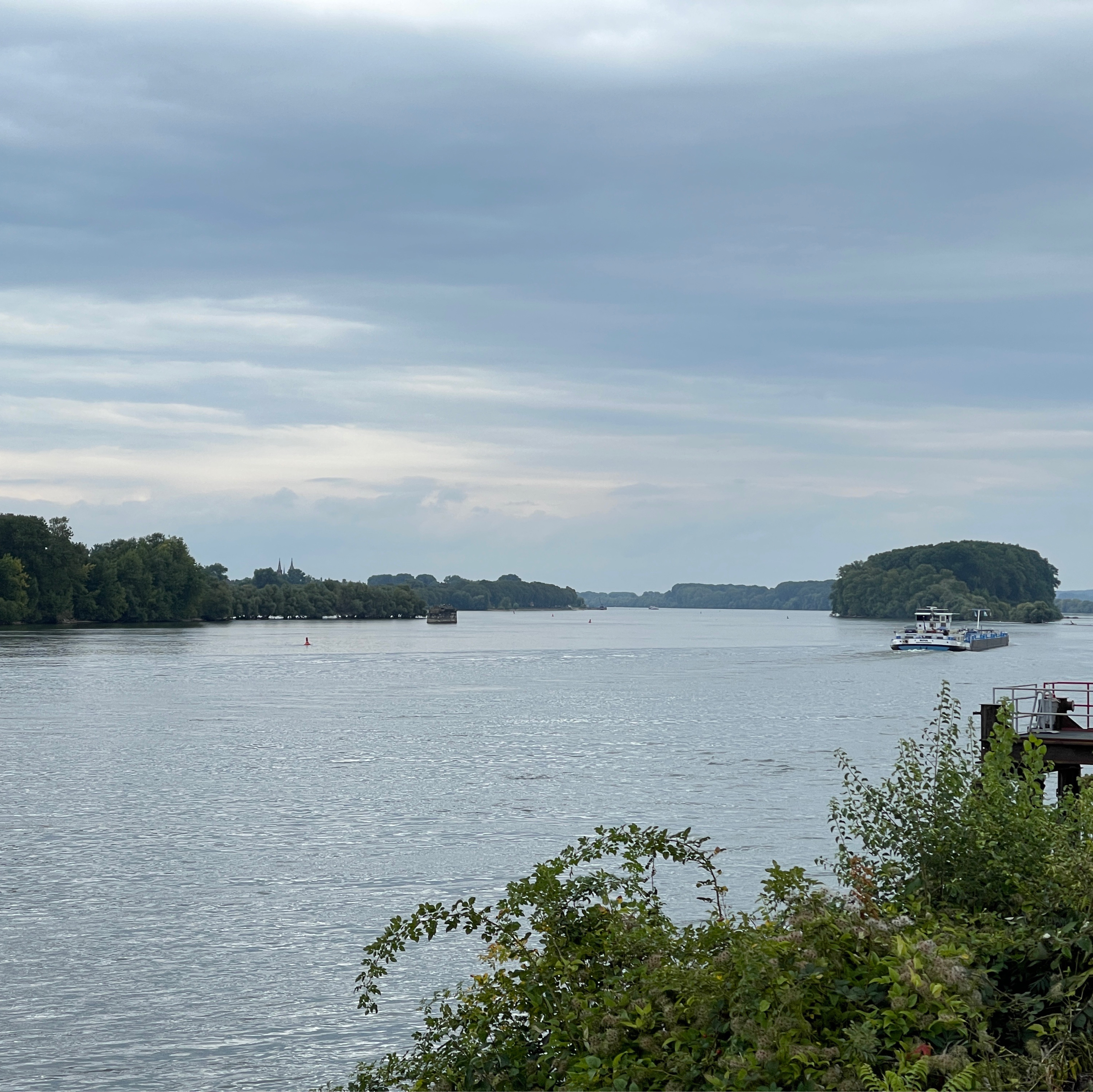 Bingen - Von Globus Logistik zur Nahemündung
