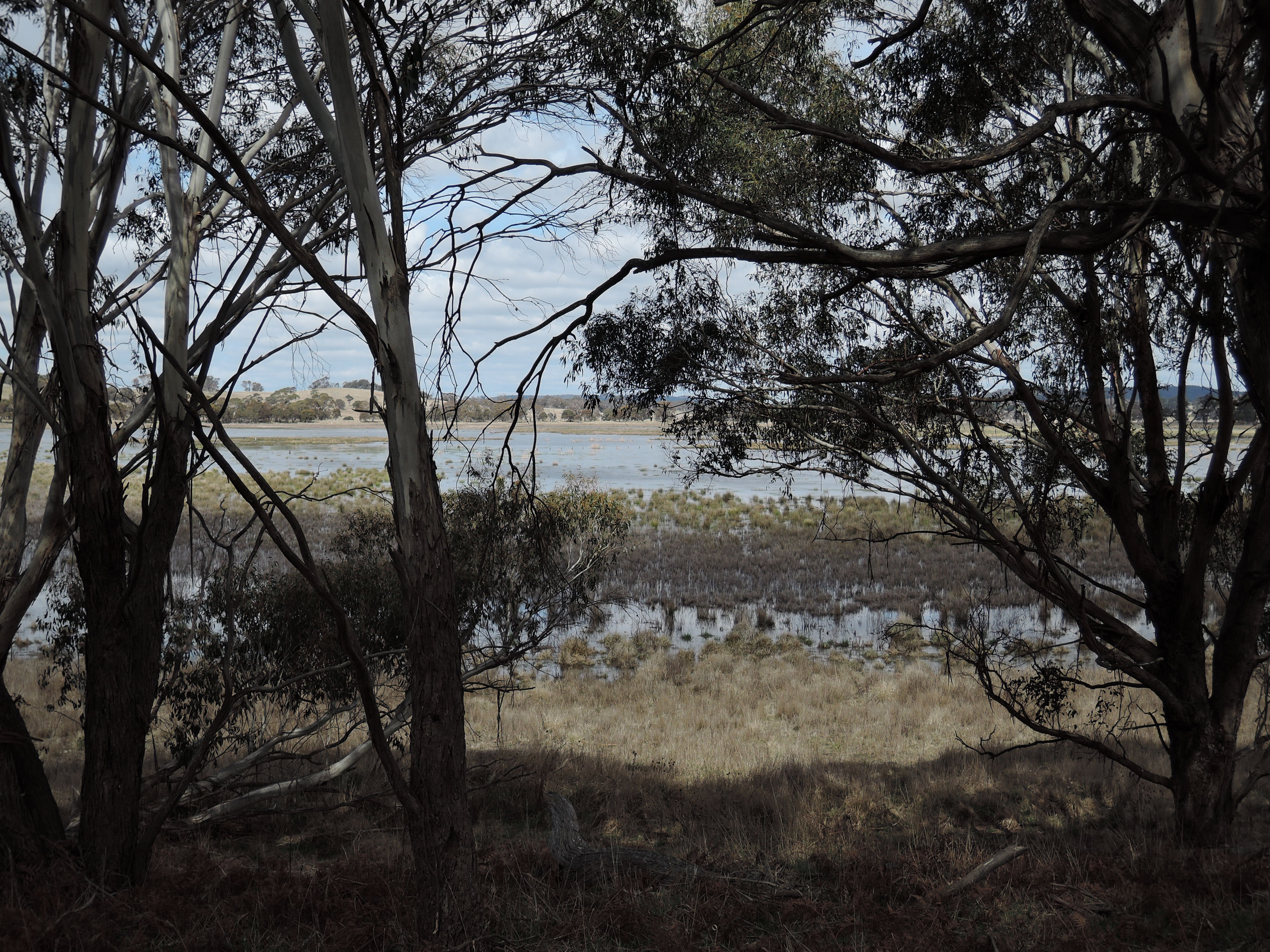 Lagoons ride