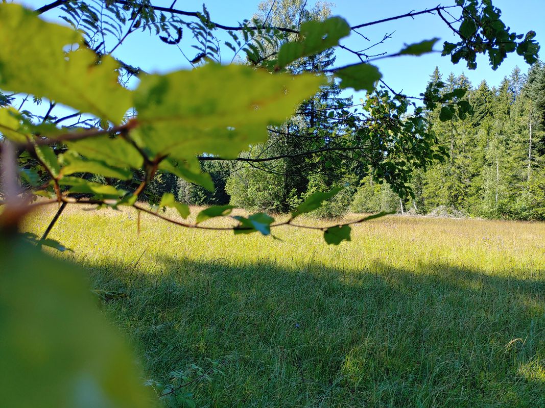 Beule 18, Oberreute nach Ihlingshof 2, Oberreute