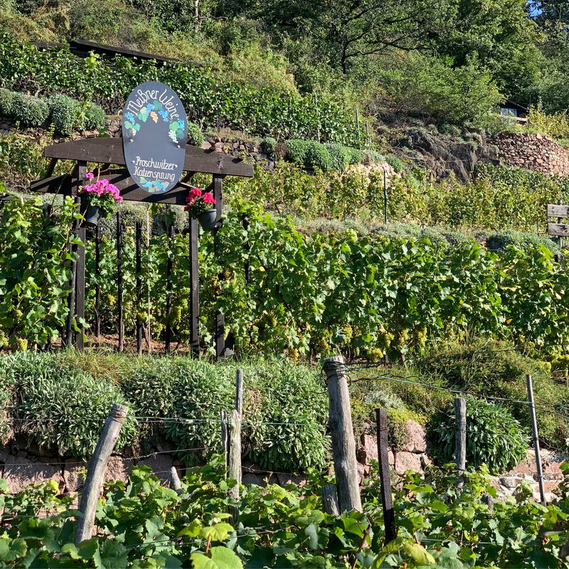 09.09.2021 Meissen_Riesa