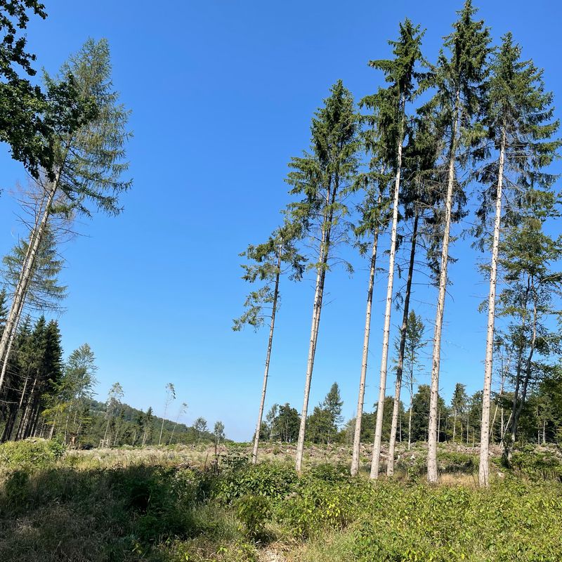 Mardieksweg 5, Stadtoldendorf nach Mardieksweg 7, Stadtoldendorf