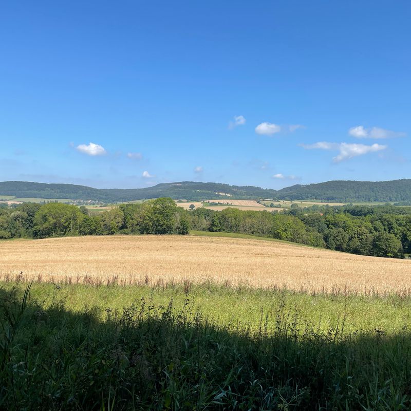 Mardieksweg 5, Stadtoldendorf nach Mardieksweg 7, Stadtoldendorf