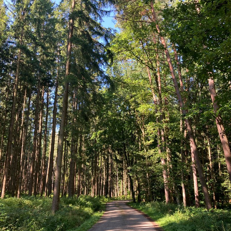 Pfingstrosenstraße 12, Maisach nach Hauptstraße 24, Meitingen