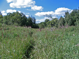 Highlight 5 along the Bikemap route "Tallinn-Narva"