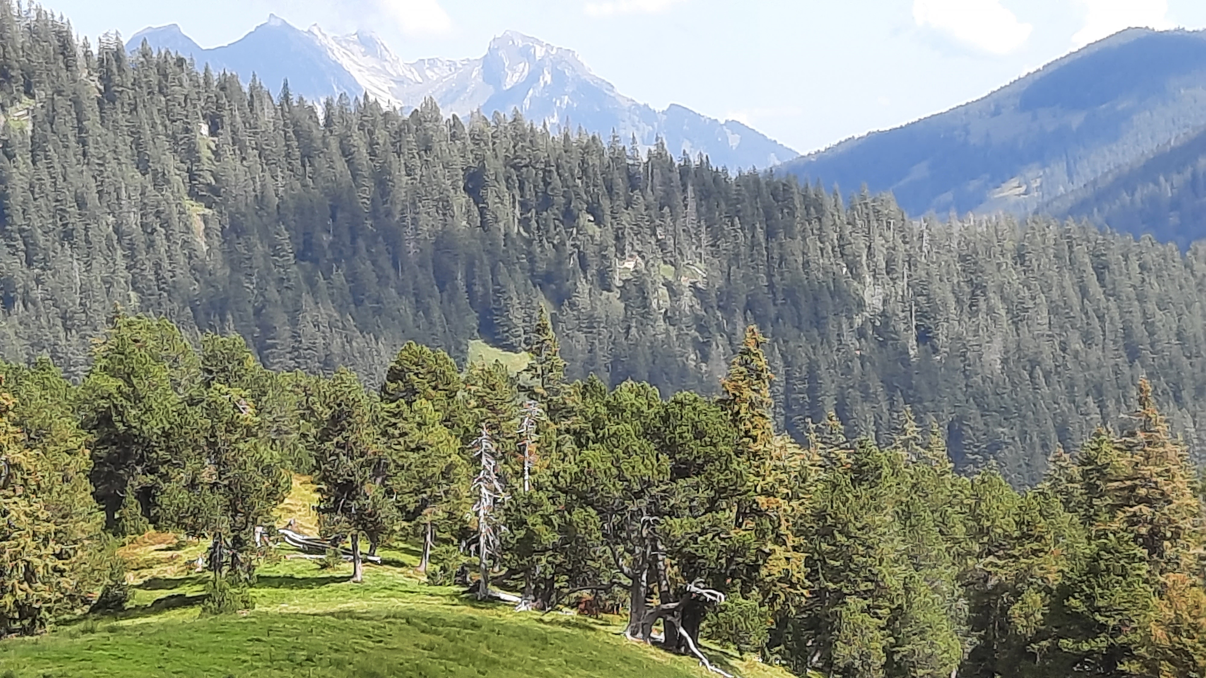 Campingstrasse 5, Giswil nach Campingstrasse 11, Giswil