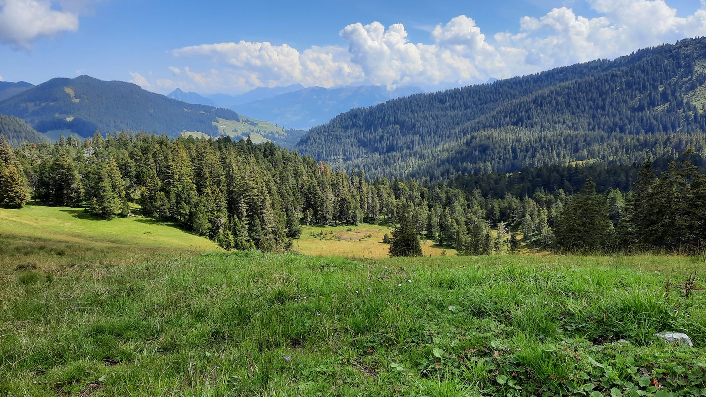 Campingstrasse 5, Giswil nach Campingstrasse 11, Giswil