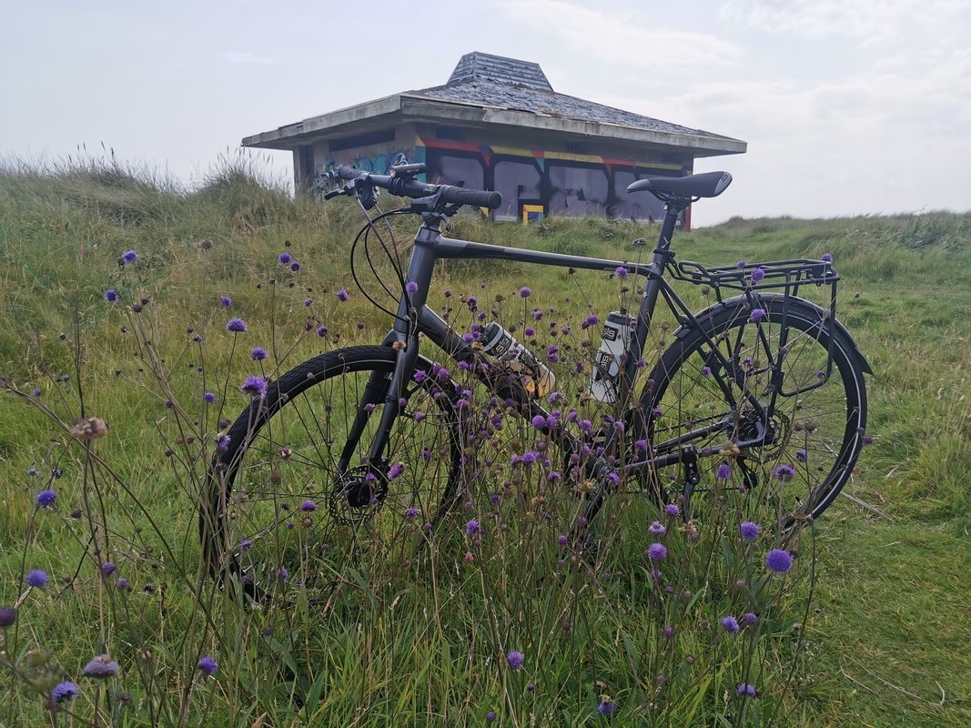 Afternoon ride