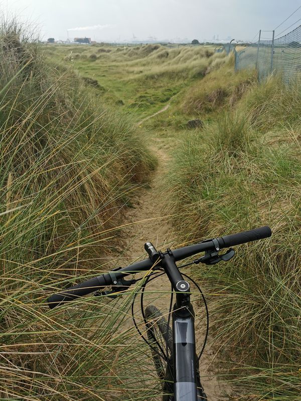 Afternoon ride