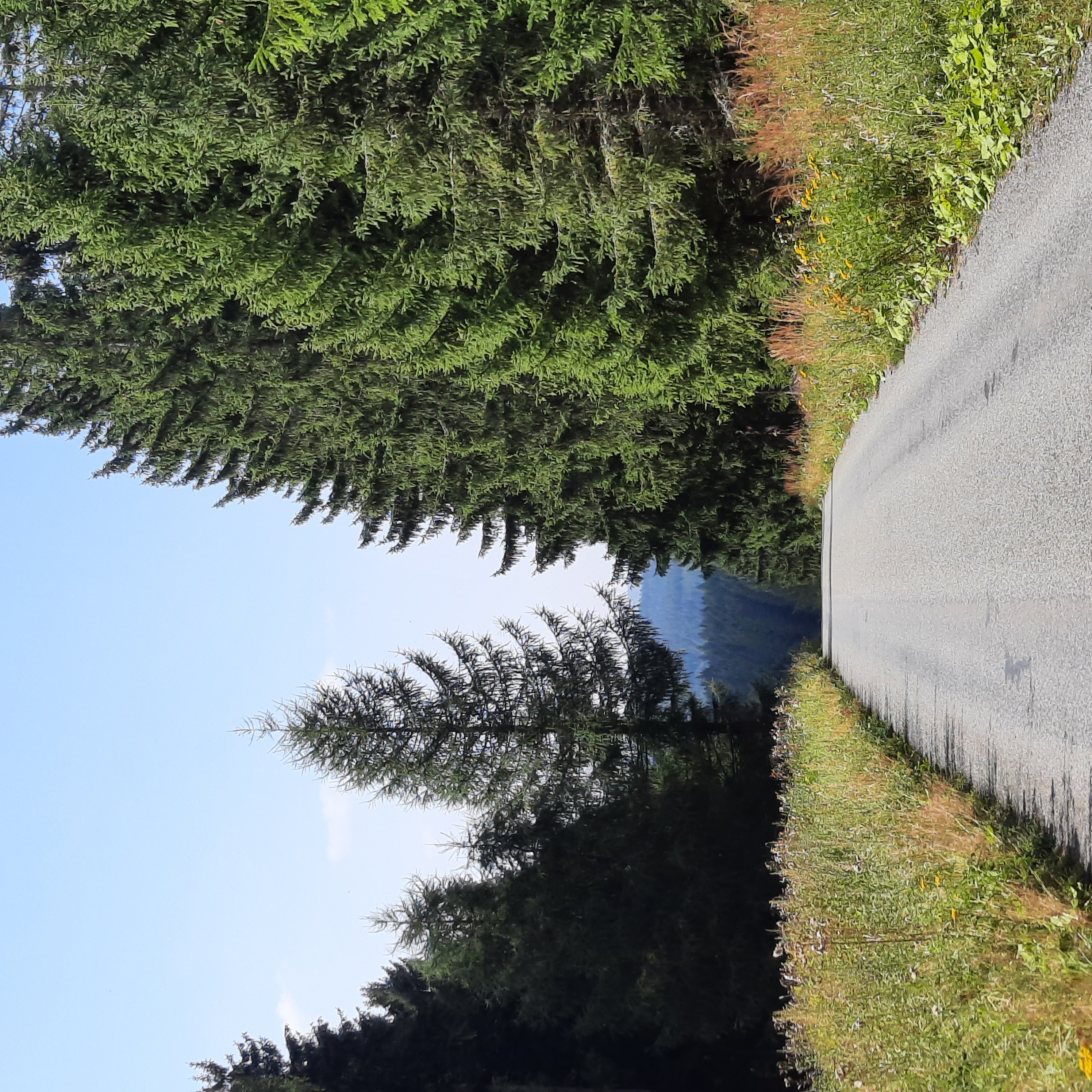 An der Lohe 8, Raschau-Markersbach nach An der Lohe 7, Raschau-Markersbach