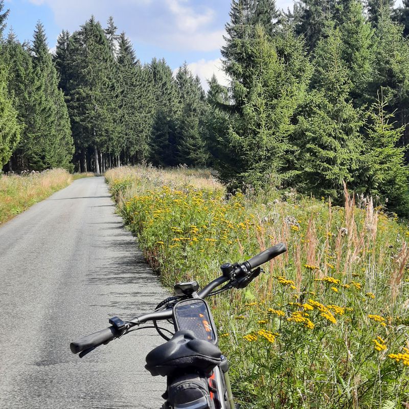 An der Lohe 8, Raschau-Markersbach nach An der Lohe 7, Raschau-Markersbach