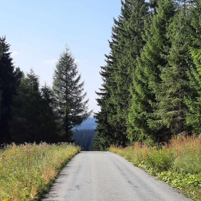 An der Lohe 8, Raschau-Markersbach nach An der Lohe 7, Raschau-Markersbach