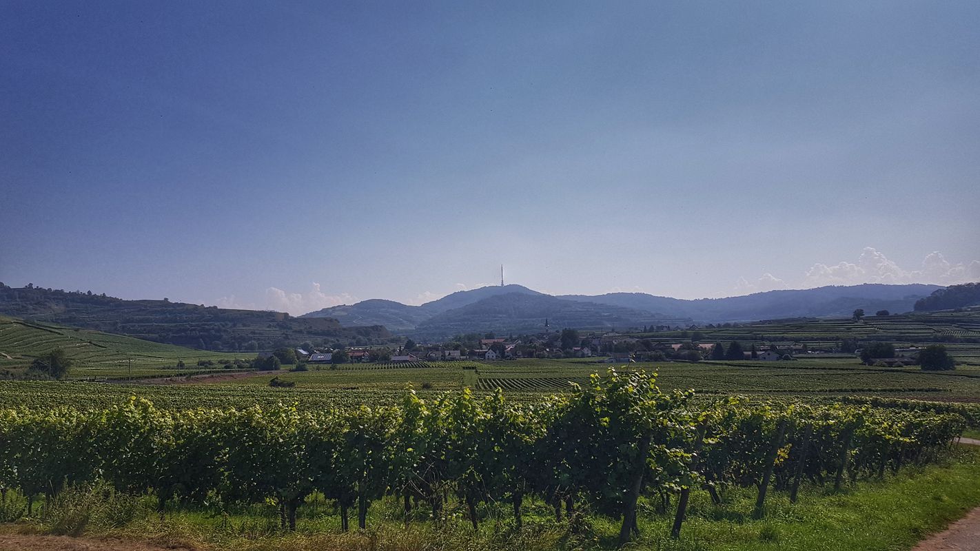 Über den Totenkopf nach Breisach...
