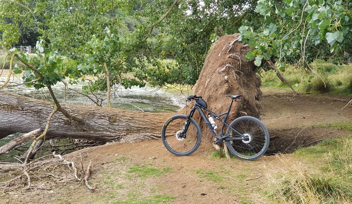 Foto 2 der Bikemap-Route "Rutland Water w/o family 😜" Foto 2 der Bikemap-Route "Rutland Water w/o family 😜"