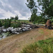 Rutland Water w/o family 😜
