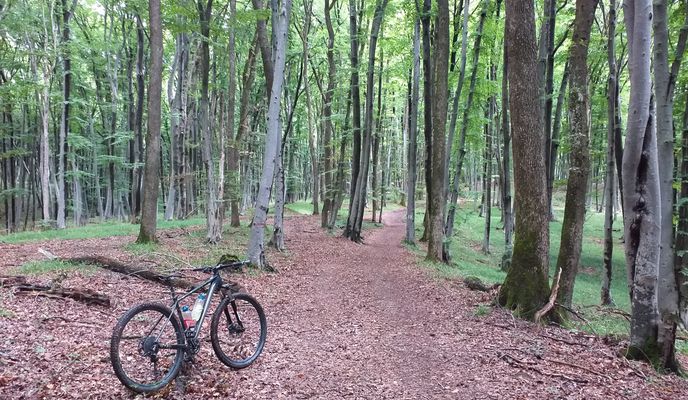 Photo 2 of the Bikemap route "Biertan MTB Green 48 km Biertan - Richis - Alma Vii - La Hula - Pd. Pelisor - Copsa Mare - Biertan (ADE 10)"
