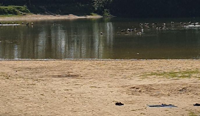 Zdjęcie 2 trasy Bikemap „Bergstedter Chaussee 235, Hamburg nach Plaggenweg 3, Hamburg”