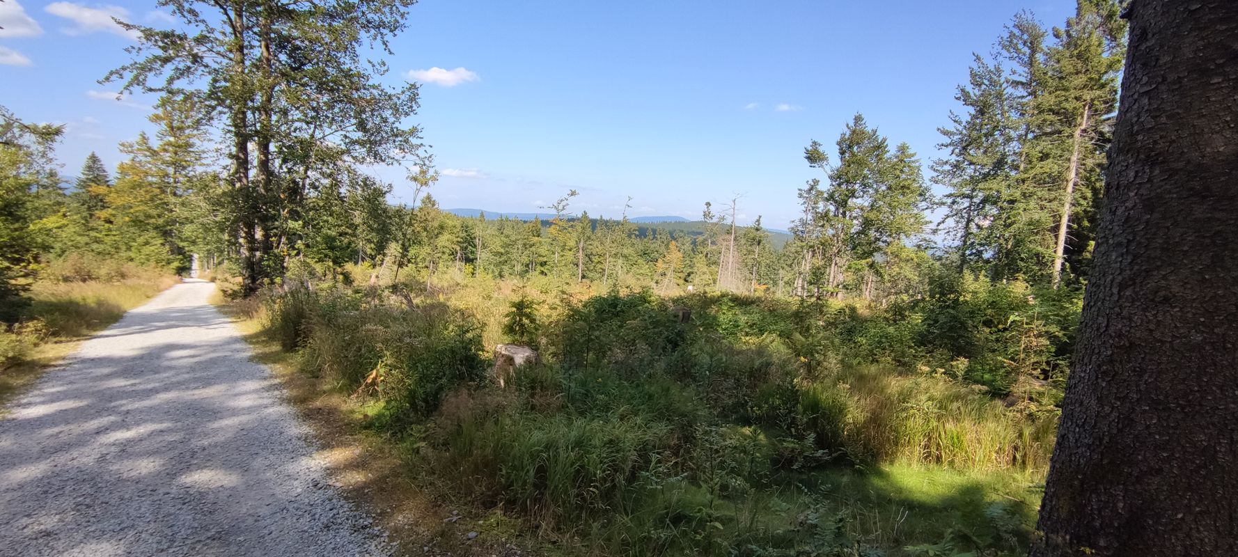 Unnamed Road, Frauenberger und Duschlberger Wald nach Frauenberg 59, Haidmühle