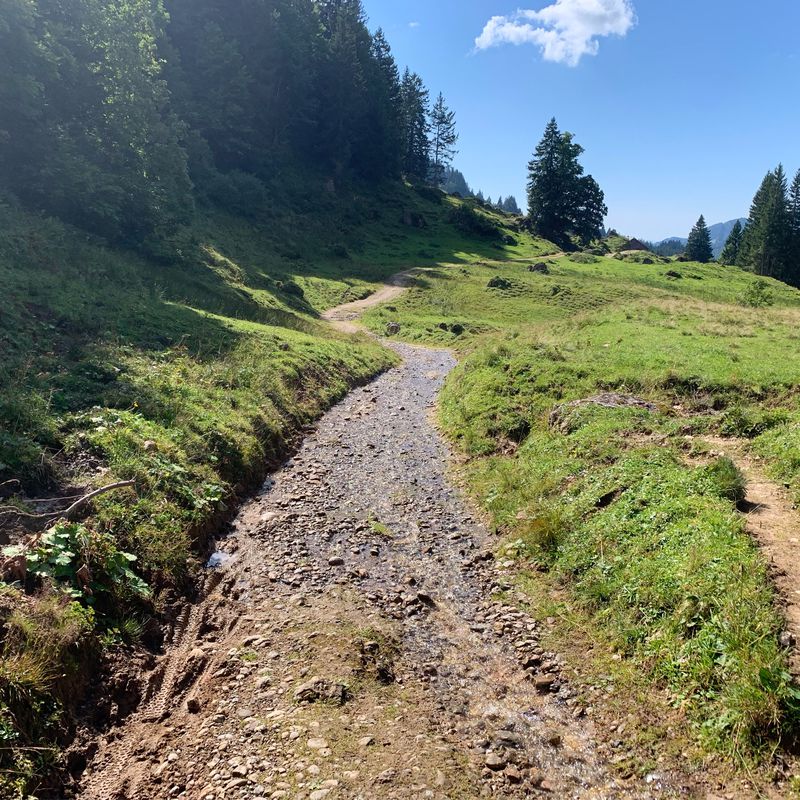 Bergkäs Runde Oberallgäu - Bregenzer Wald