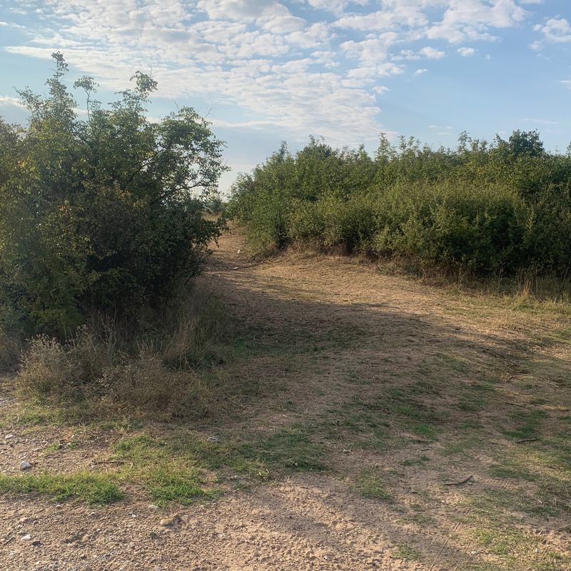 Recovered Route