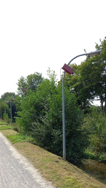 6.9. Sesekeweg ab Flierich Alleenradweg