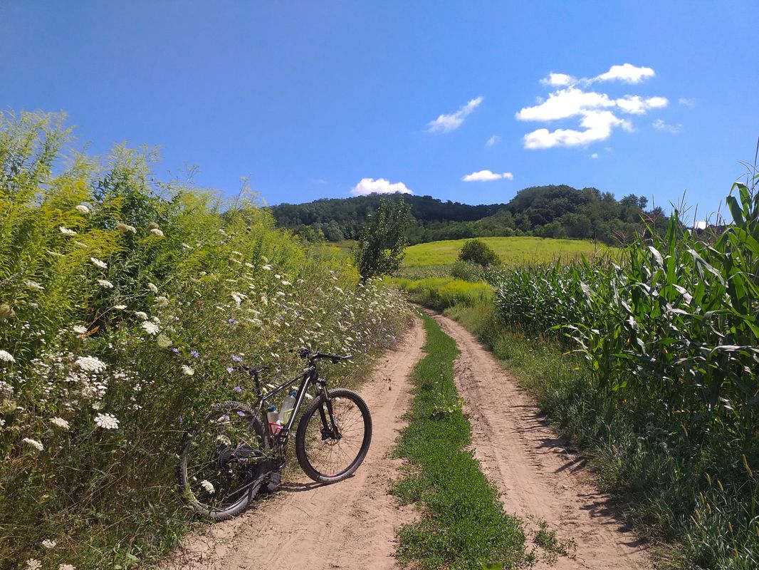 Biertan MTB Blue 66 Km Biertan - Dupus - Atel - Medias - Mosna - Alma Vii - La Hula - Richis - Biertan (ADE 11)