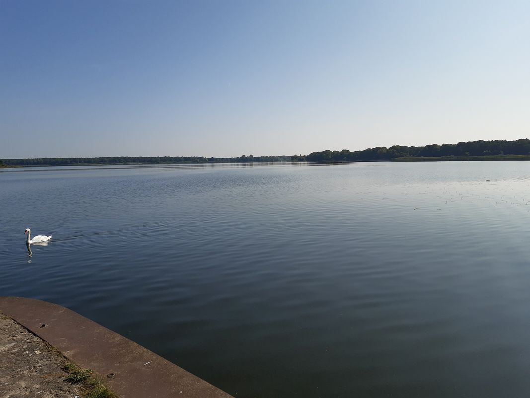 Neue Mühle Brandenburg- 5 Seenrundfahrt