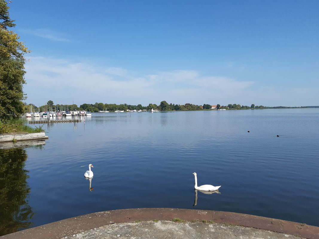 Neue Mühle Brandenburg- 5 Seenrundfahrt