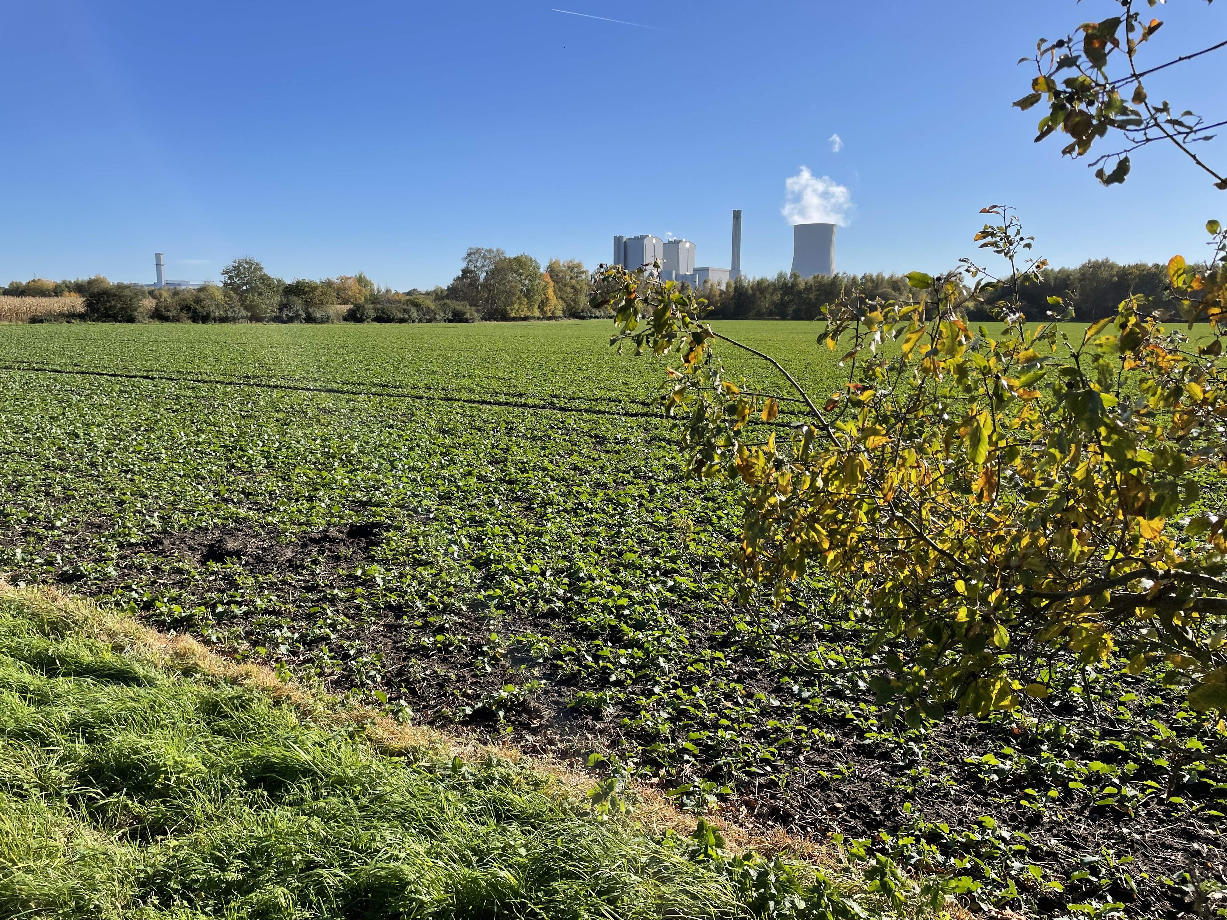 Highlight 19 along the Bikemap route "[Hannover] Grüner Ring inkl. Außenschleife Sehnde-Laatzen"