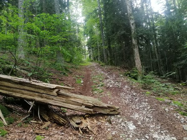 Foto 1: Urs Würgler