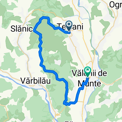 Slanic, Varbilau
