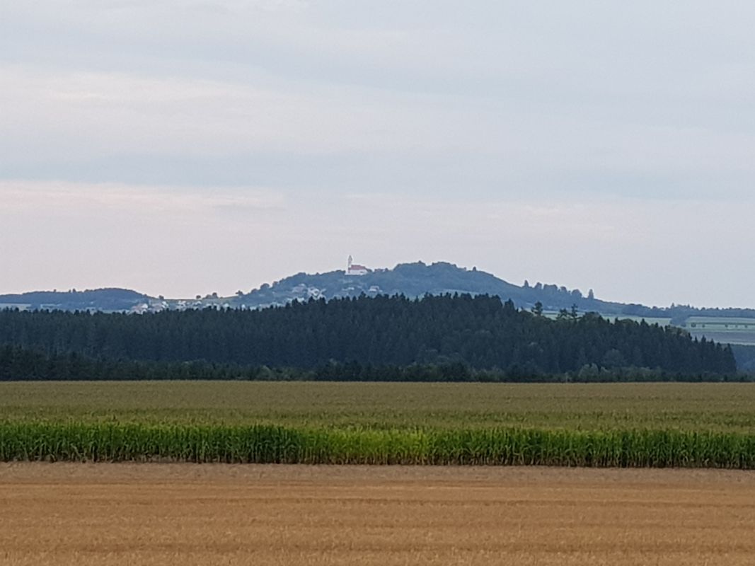 Uttenweiler - Federsee Runde