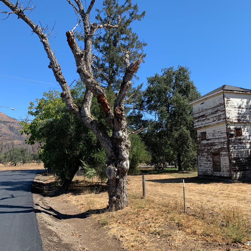 Bennett Valley-Lawndale-Oakmont-Santa Rosa