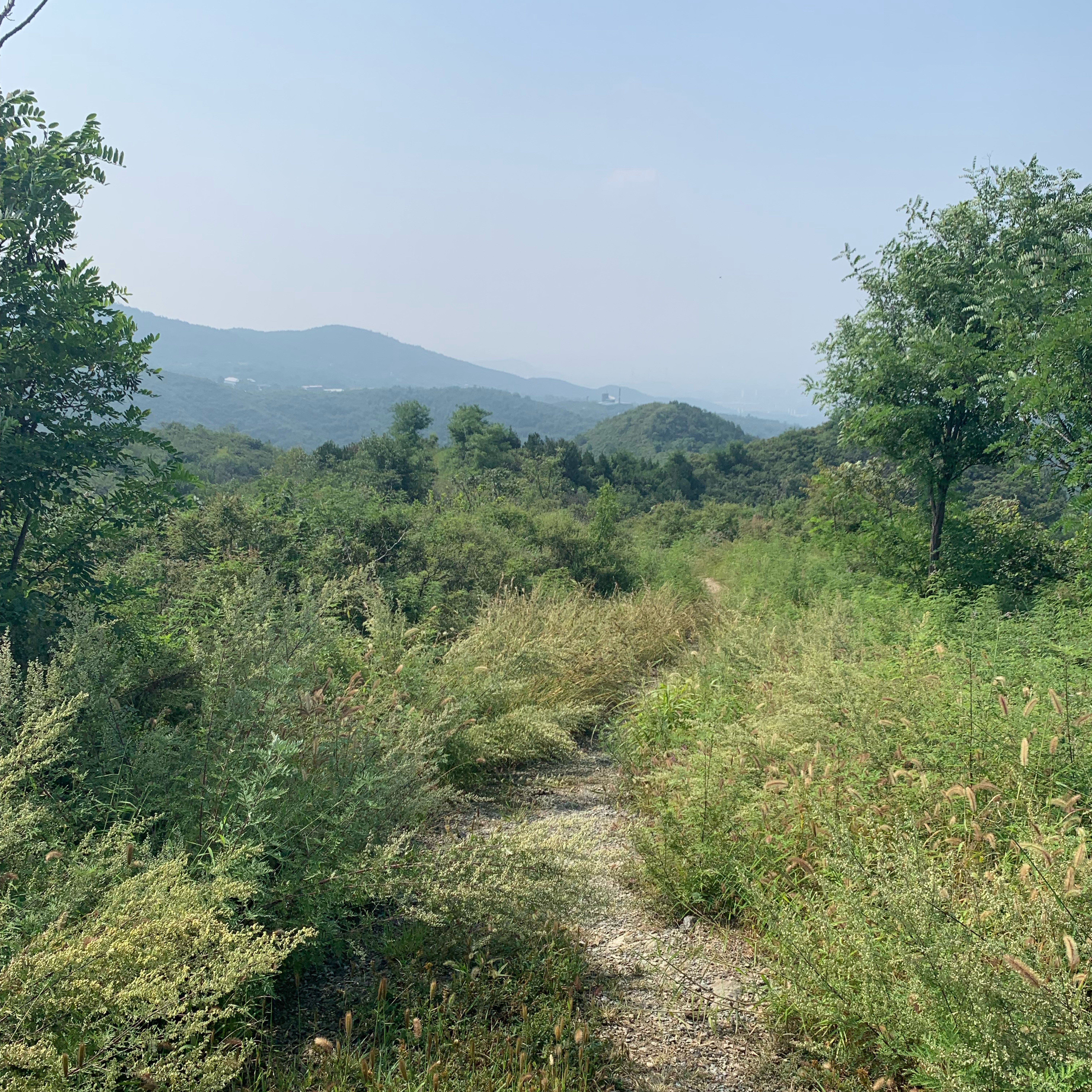 fragrant Hill