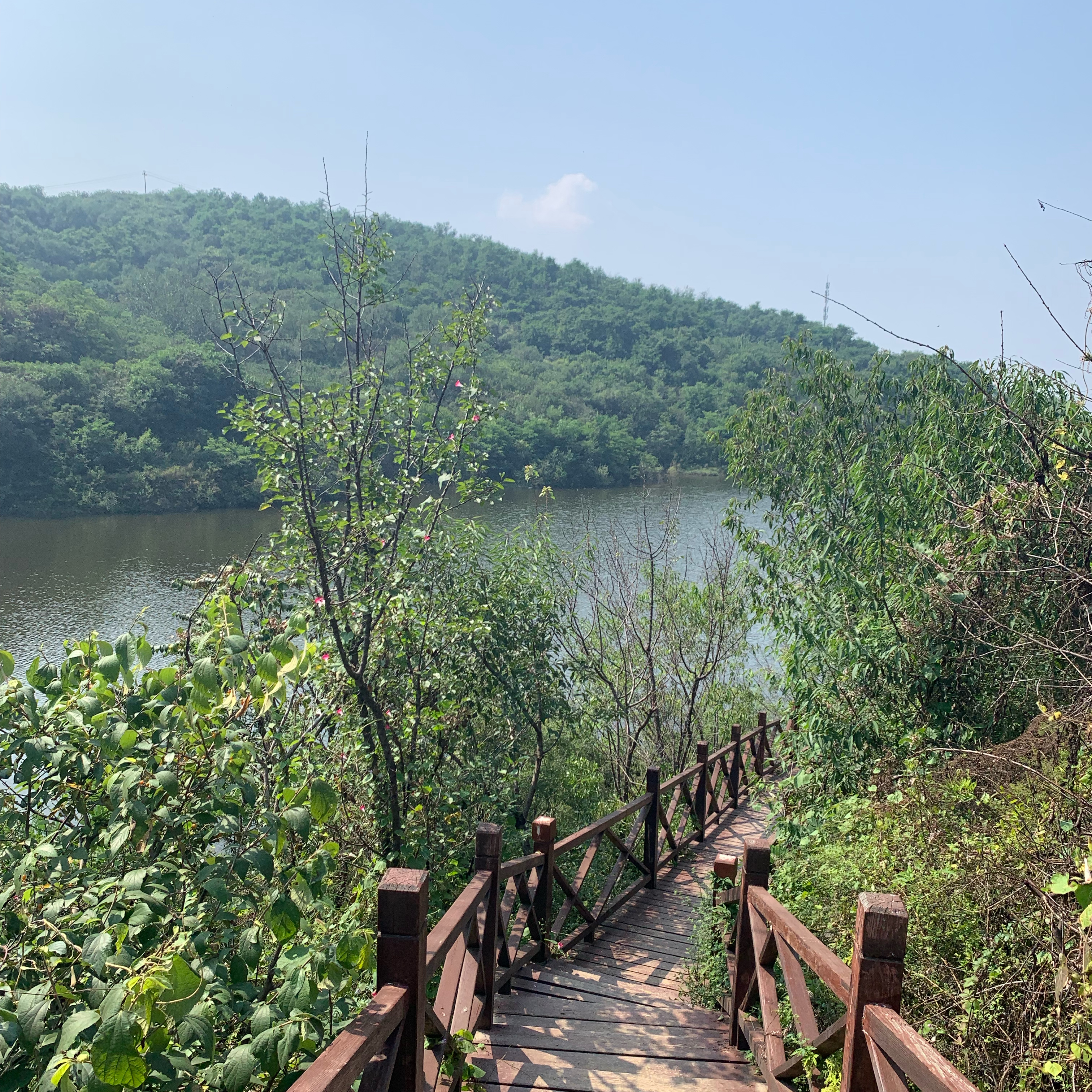 fragrant Hill