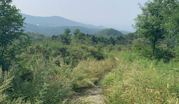 Foto 1 del percorso Bikemap "fragrant Hill"