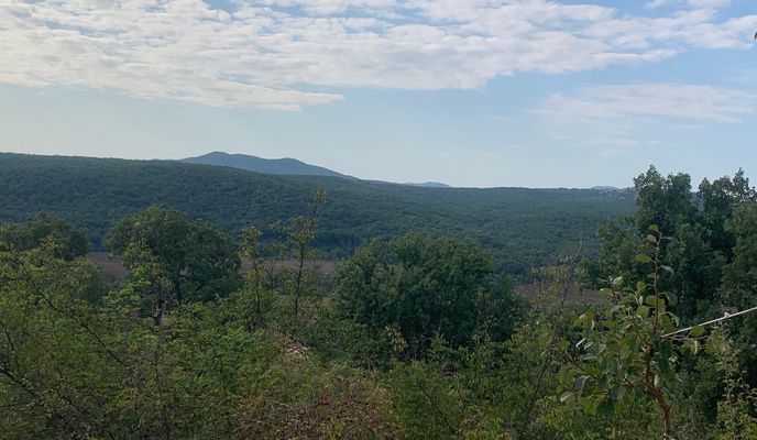 Zdjęcie 1 trasy Bikemap „Recovered Route”